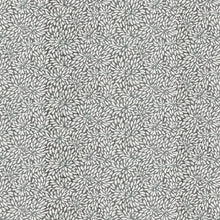 Load image into Gallery viewer, Bloom – Sample Swatches - 5 Colors