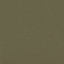 Load image into Gallery viewer, Headliner Fabric Flat Knit and  Brushed Knit Foam Backed 45 Colors Yellowstone Sunbrite