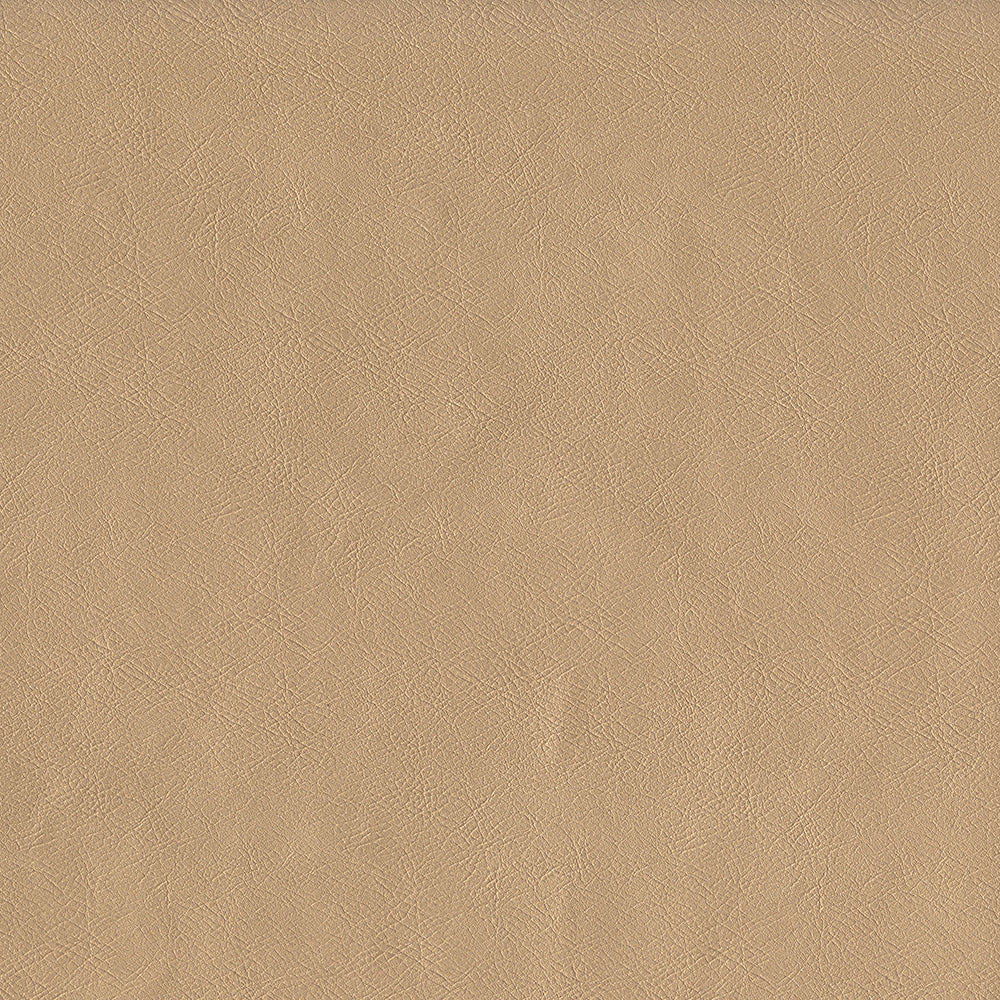 Challenger Vinyl Samples - 40 Colors