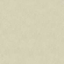 Load image into Gallery viewer, Baldwin Faux Leather Contract Rated Soft Hand 16 Colors