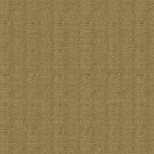 Load image into Gallery viewer, Berry Upholstery Fabric Chenille Velvet Look Furniture Fabric 21 Colors