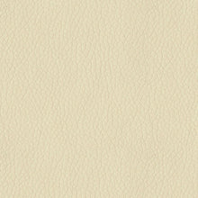Load image into Gallery viewer, Turner - Faux Leather Polyurethane Upholstery Vinyl 27 Colors