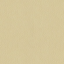 Load image into Gallery viewer, Turner - Faux Leather Polyurethane Upholstery Vinyl 27 Colors