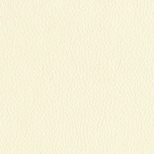 Load image into Gallery viewer, Turner - Faux Leather Polyurethane Upholstery Vinyl 27 Colors